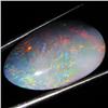 11.75ct Australian Black Opal Doublet Full Fire (GEM-36240)