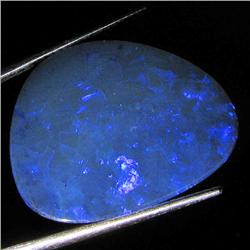 12.05ct Australian Black Opal Doublet Full Fire (GEM-36531)