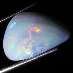 8.3ct Australian Black Opal Doublet Full Fire (GEM-36219)