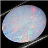 1.73ct Australian Black Opal Doublet Full Fire (GEM-35872)