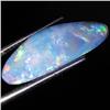 4.76ct Australian Black Opal Doublet Full Fire (GEM-35820)