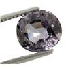 3.05ct Purple Pink Burmese Spinel Oval Gem (GEM-21412)