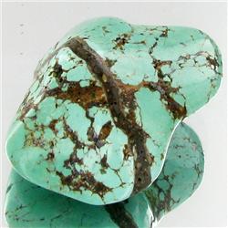 47.35ct Green Turquoise Freeform Cabochon (GEM-33777)