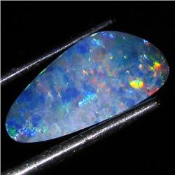 1.44ct Australian Black Opal Doublet Full Fire (GEM-35955)