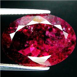 12.17ct   Oval Cut Red Pink Tourmaline (GEM-35289)