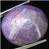 40.80ct Natural Star Ruby Well Patterned  (GEM-32144)