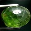 26.93ct  Oval Cabochon Green Blue Tourmaline (GEM-35255)
