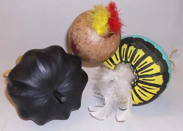 Cherokee and Hopi Rattles