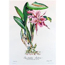 FLORAL MITRA HAND COLORED ETCHING LTD ED SALE