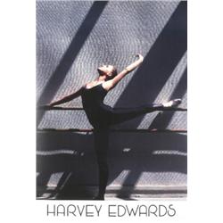 Edwards A Touch of Dream Poster