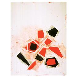 Signed 2006 Shapiro Untitled Serigraph