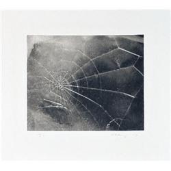 Signed 2009 Celmins Spider Web Serigraph