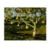 Image 2 : Signed 2002 Wyeth The Gourd Tree Serigraph