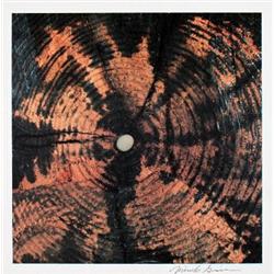 S/N Grimmer From Art Sounds Portfolio Print