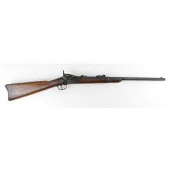 Springfield Model 1873 Trapdoor Carbine