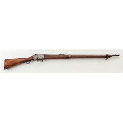 Scarce Martini-Henry Single Shot Rolling Block Rie