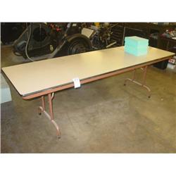 FOLDING TABLES (2X)