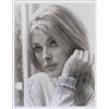 Image 1 : Sharon Tate