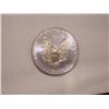 Image 2 : Colorized US .999 Fine Silver Eagle