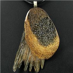 95twc Giant Armadillo Fossil Pendant Necklace (JEW-3050)
