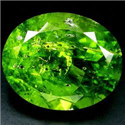 31.58ct Huge Green Peridot Tanzania (GEM-33598)