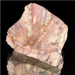 24ct Mexican Boulder Opal (GEM-35375)