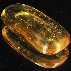 27.37ct Real Natural Amber Many Fossil Insect (GEM-29343)