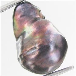 12.19ct Baroque Peacock Black South Sea Saltwater Pearl (GEM-33287)