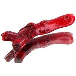 30.6ct Red Coral Freeform (MIN-000605)