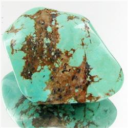 31.4ct Green Turquoise Freeform Cabochon (GEM-33806)