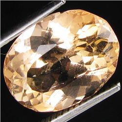 9.35ct Chanpaigne Imperial Topaz (GEM-35762)