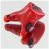 68.2ct Red Coral Freeform (MIN-000679)