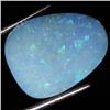 6.25ct Australian Black Opal Doublet Full Fire (GEM-36467)