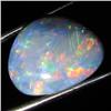 5.75ct Australian Black Opal Doublet Full Fire (GEM-36265)