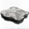 Image 1 : 104g Campo Del Cielo Meteorite Slice (MIN-000526)