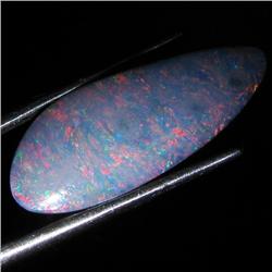 6.15ct Australian Black Opal Doublet Full Fire (GEM-36200)