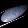 6.15ct Australian Black Opal Doublet Full Fire (GEM-36200)