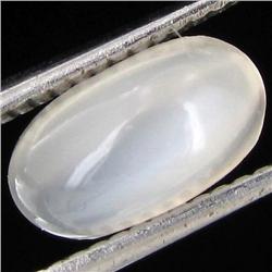 2.50ct Moonstone Cat's Eye Cabochon (GEM-31142)