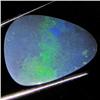 6.2ct Australian Black Opal Doublet Full Fire (GEM-36563)