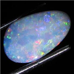 3.54ct Australian Black Opal Doublet Full Fire (GEM-35885)