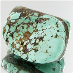 37.3ct Green Turquoise Freeform Cabochon (GEM-33781)