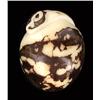 Image 2 : Chinese Handcarved Tagua Ivory Nut (CLB-733)