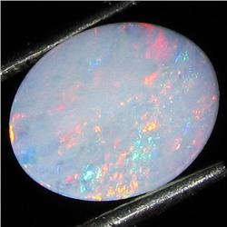 1.73ct Australian Black Opal Doublet Full Fire (GEM-35872)