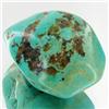 73.15ct Green Turquoise Freeform Cabochon (GEM-33797)