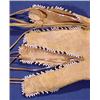 Image 3 : Indian Pipe Pouch, Ca. 1890