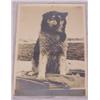Image 3 : 7 Eskimo / Alaska Photos