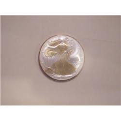 Colorized US .999 Fine Silver Eagle