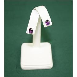 Amethyst Earrings approx. 2 carats set in  14kt yellow gold. Est. $50-$100.