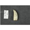 Image 1 : Scrimshawed whale’s tooth approx. 5-1/4” in  length showing a naval officer on one side  with the da