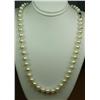 Image 1 : Attractive ladies 18 inch strand of round  Pearls averaging 7.50 MM in diameter on a 14  karat white